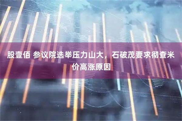 股壹佰 参议院选举压力山大,石破茂要求彻查米价高涨原因