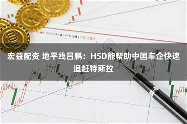 宏益配资 地平线吕鹏：HSD能帮助中国车企快速追赶特斯拉