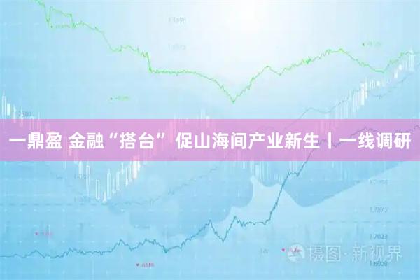 一鼎盈 金融“搭台” 促山海间产业新生丨一线调研