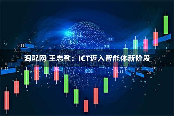 淘配网 王志勤：ICT迈入智能体新阶段