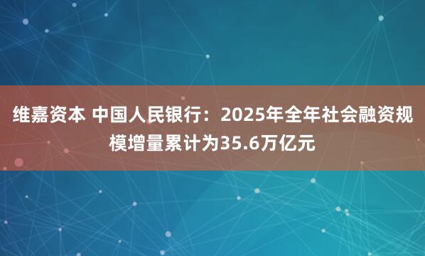维嘉资本 中国人民银行：2025年全年社会融资规模增量累计为35.6万亿元