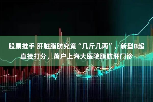 股票推手 肝脏脂肪究竟“几斤几两”，新型B超直接打分，落户上海大医院脂肪肝门诊