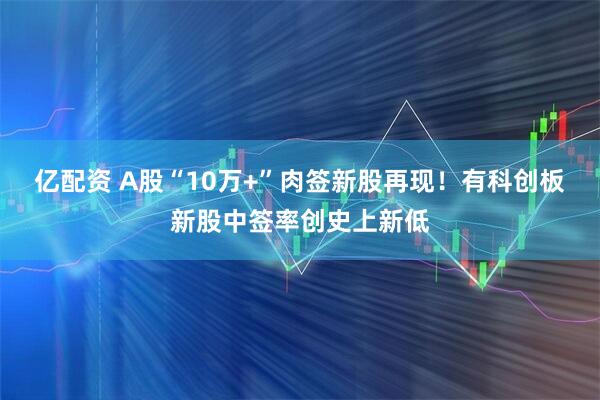 亿配资 A股“10万+”肉签新股再现！有科创板新股中签率创史上新低